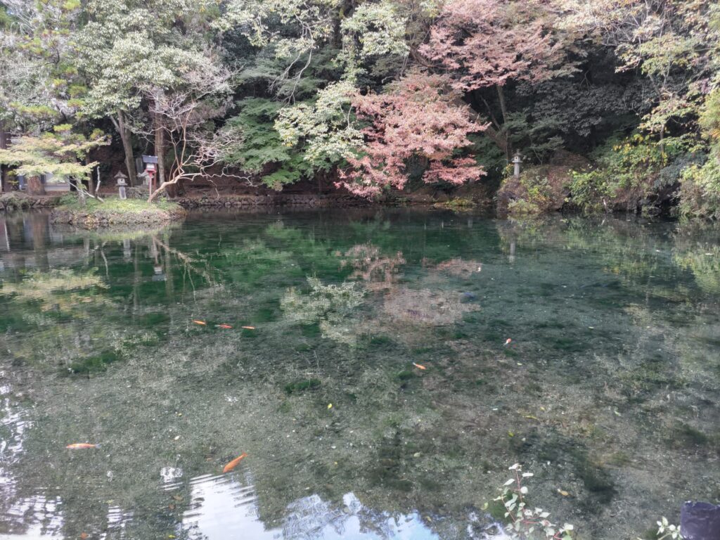 出流原弁天池